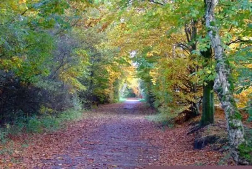 Kirklees Trail in Bury