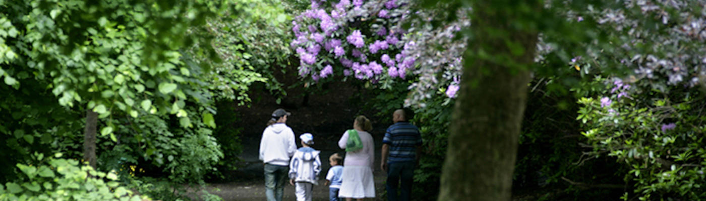 Nuttall Park