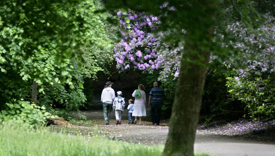 Nuttall Park