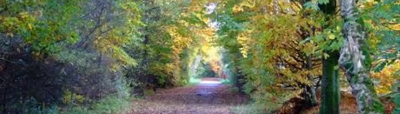 Kirklees Trail in Bury